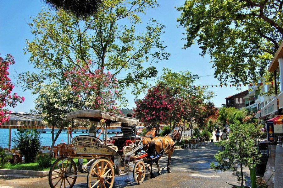 istanbul adalar turu tatil adasi turizm