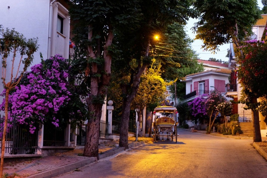 istanbul adalar turu tatil adasi turizm